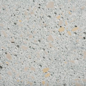 Silicastone / Terrazzo / Botanical / Honed